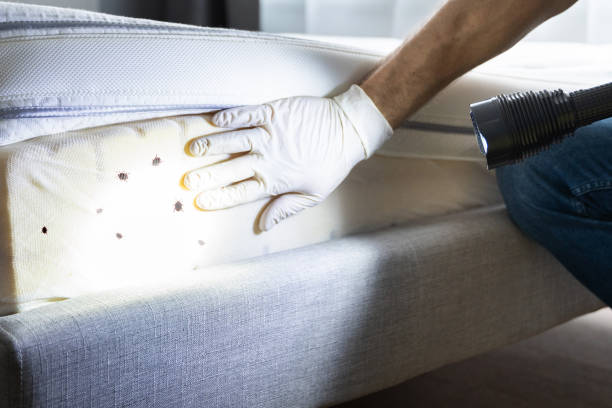 Best Pest Inspection Near Me  in Hastings, PA