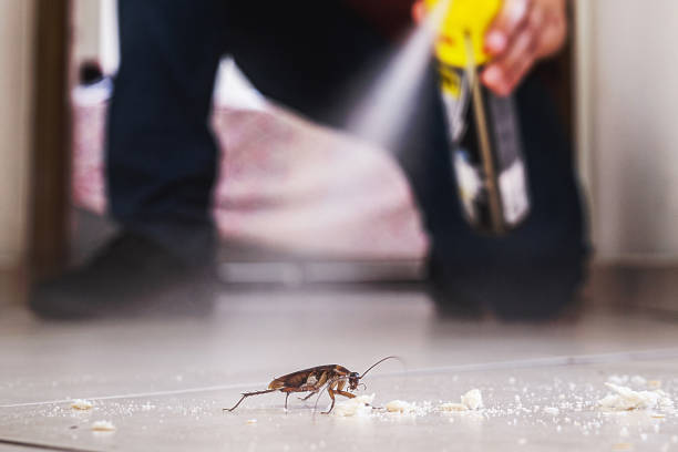 Best Mosquito Control Services  in Hastings, PA