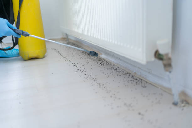 Best Insect Control  in Hastings, PA